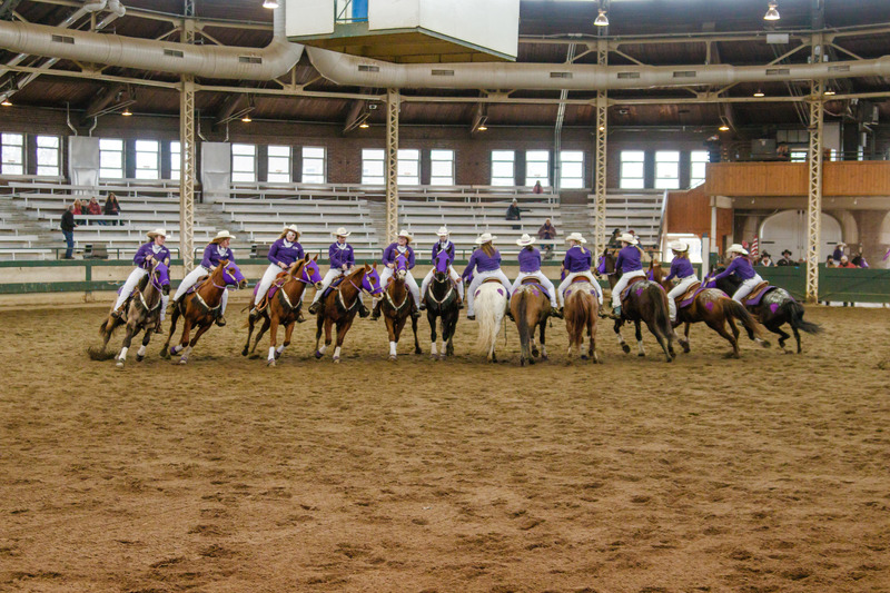 Draft Horse Pulls Iowa Horse Fair