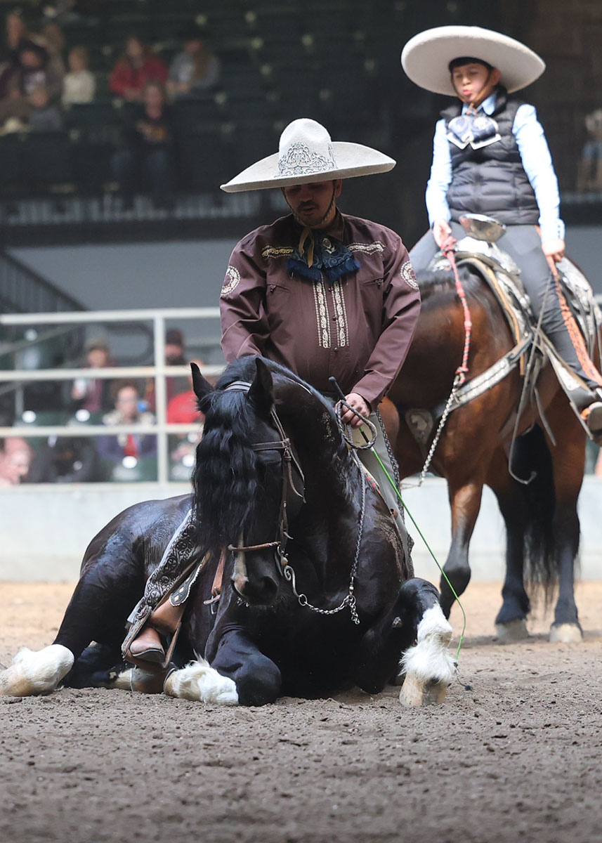 Charros man on a horse