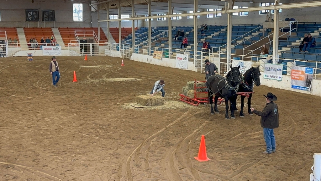 Iowa Horse Racing Draft Horse Competition - Iowa Horse Fair